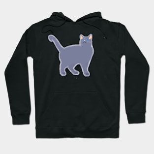 Bluestar Hoodie